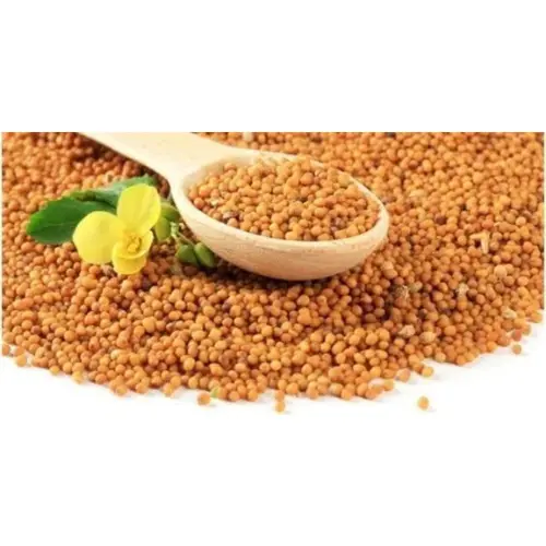 সরিষার-বীজ-1.webp
